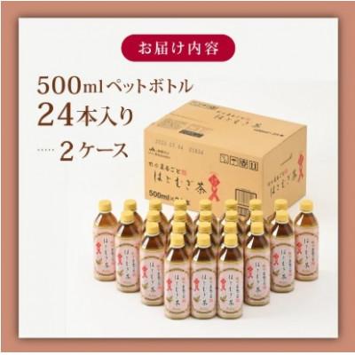 ふるさと納税 羽咋市 能登のはとむぎ茶　500ml×48本 |  | 03