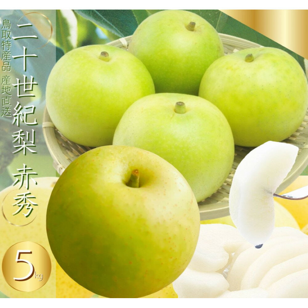【ふるさと納税】鳥取県産 二十世紀梨（贈答用）赤秀 5kg