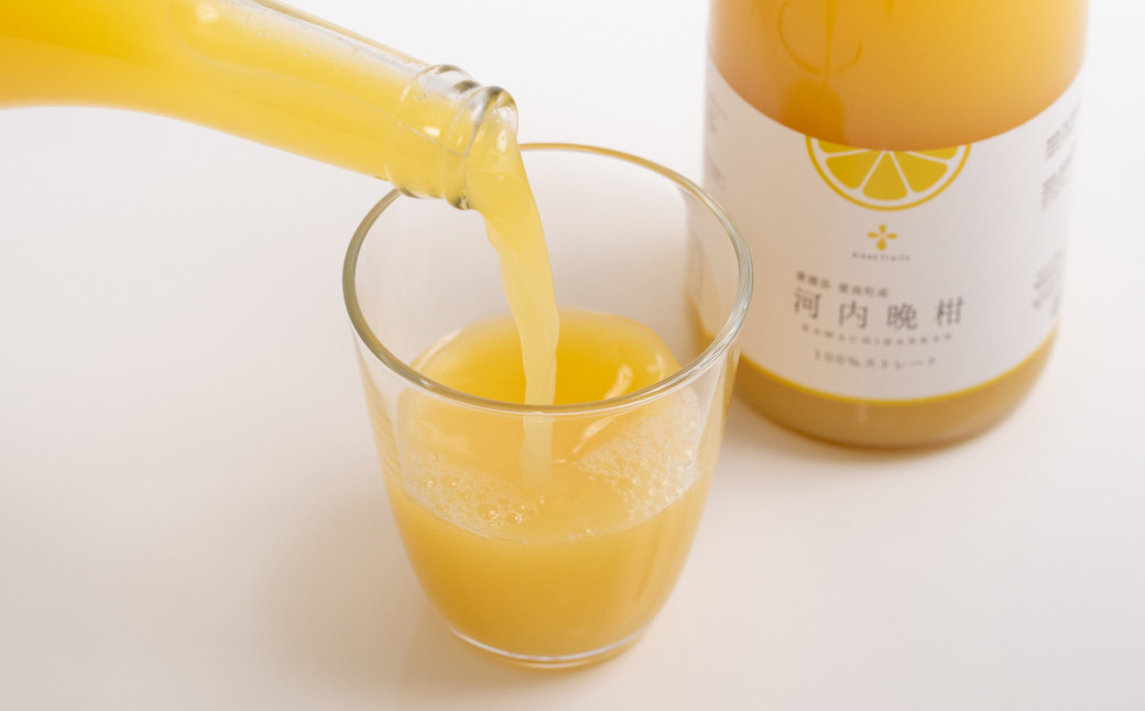 無添加 果汁100％ 河内晩柑ジュース 720ml×3本入【えひめの町（超）推し！（愛南町）】（576）