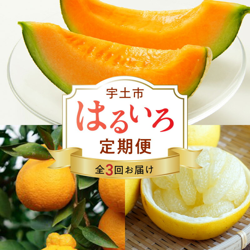 【ふるさと納税】はるいろ定期便 3ヶ月 不知火 約3kg パール柑 約5kg 高級 オレンジハート 2玉 フルーツ 柑橘 メロン 濃厚 甘み 酸味 食べやすい ビタミンC 爽やか 赤肉系メロン まろやか 果物 春 味覚 旬 お取り寄せ お取り寄せフルーツ 送料無料 【熊本県宇土市】