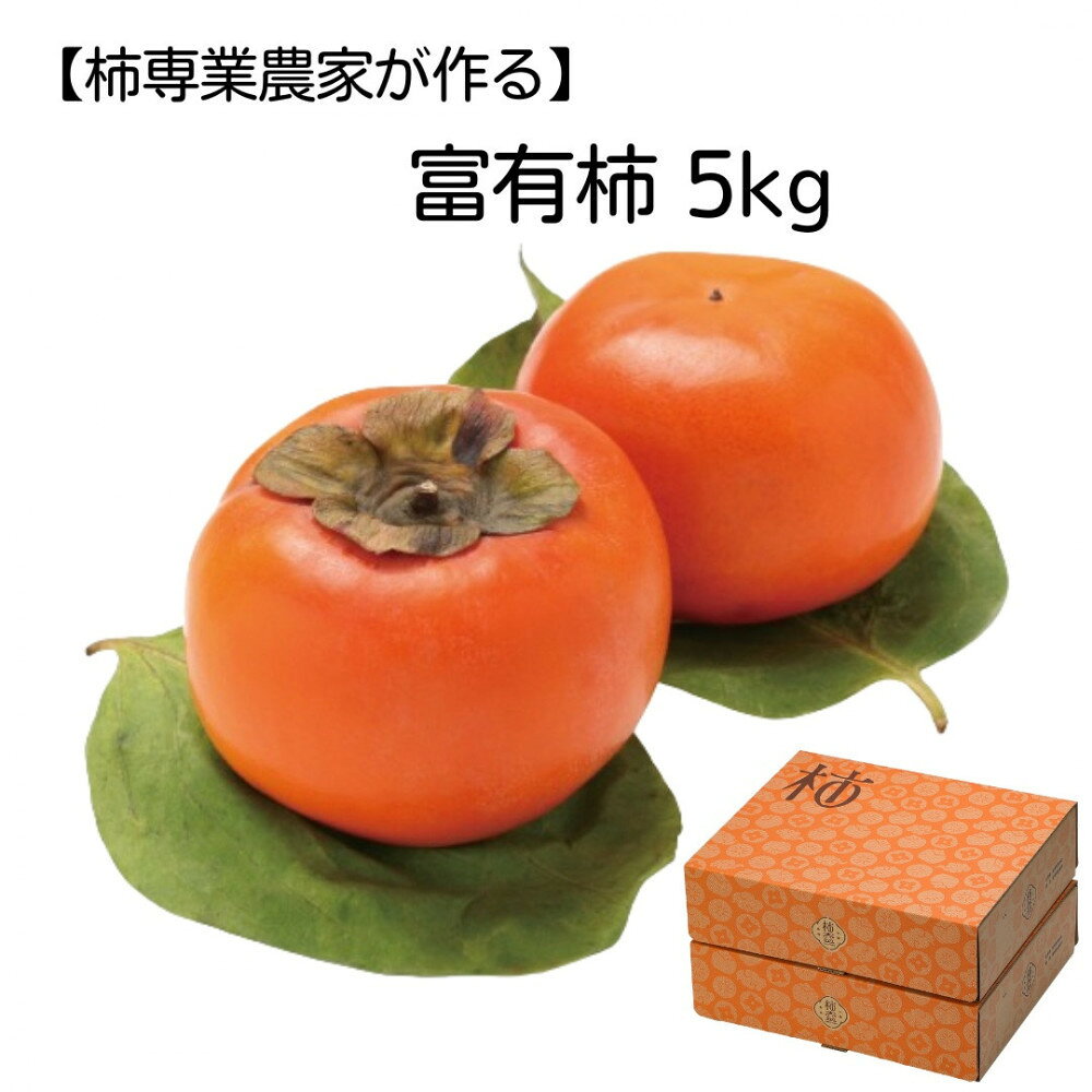 【ふるさと納税】【柿専業の農家が作る】出雲産富有柿　5kg【11月下旬以降お届け】