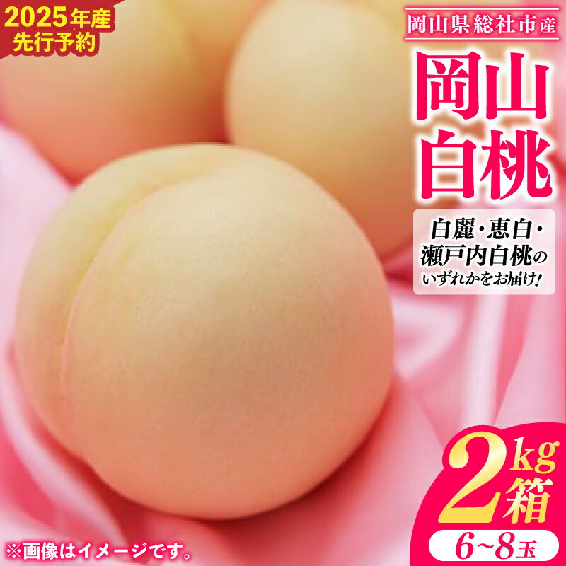 【ふるさと納税】岡山白桃 2kg箱 岡山県 総社市産 2025年産先行予約 6～8玉 8月上旬～8月下旬配送 25-020-004