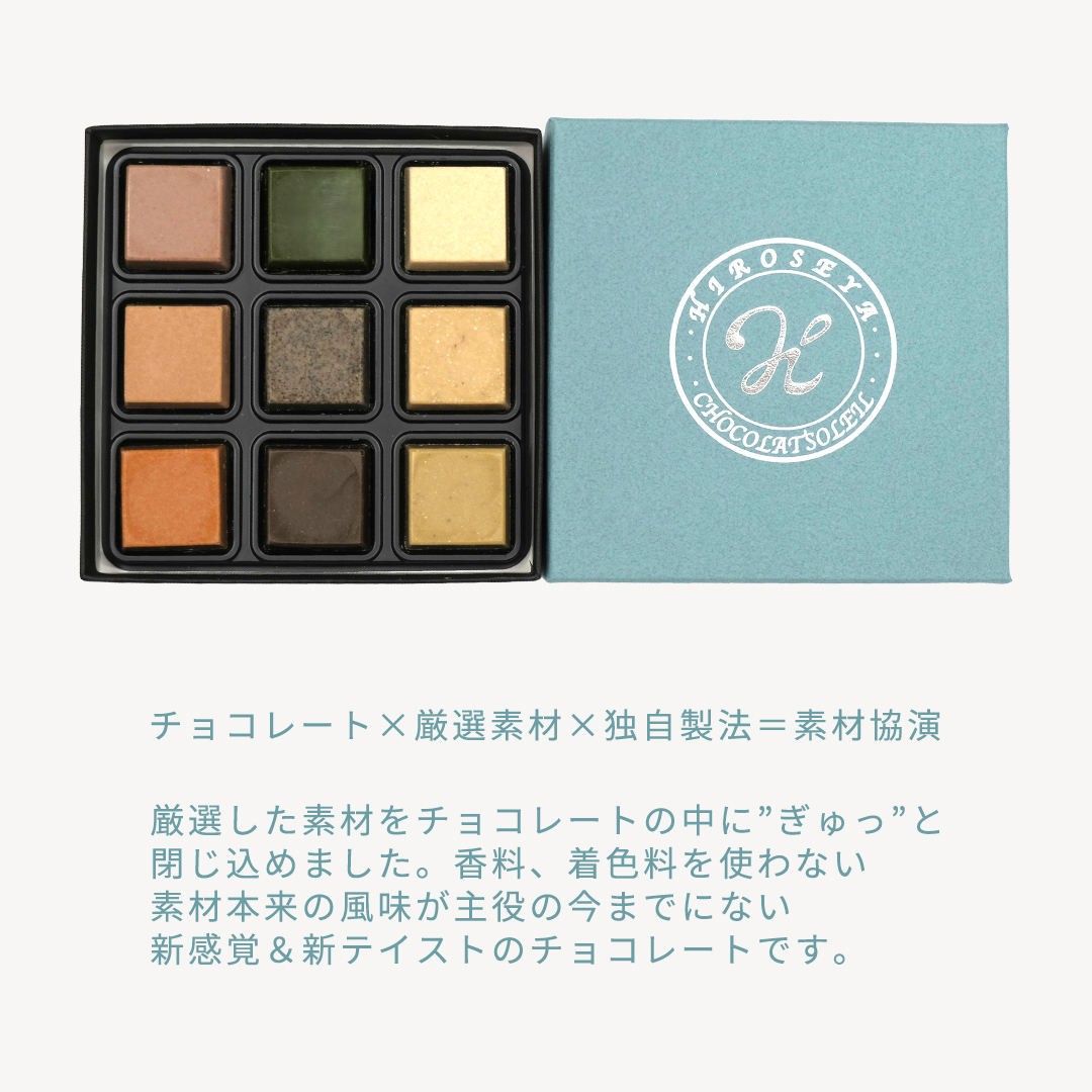 【 お中元 熨斗付 】 ショコラソレイユ 9種 チョコレート チ