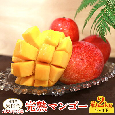 【ふるさと納税】東村産完熟マンゴー　約2kg（4～6玉）2026年発送 甘い 芳醇 完熟 マンゴー トロピカル 農家直送 夏 デザート フルーツ アーウィン あまい おいしい ジューシー 南国 高級 まんごー 沖縄 国産マンゴー 沖縄県 東村