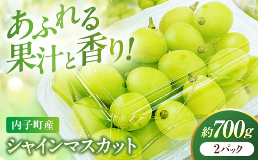 【先行予約】シャインマスカット 350g×2パック パック詰め ＜2026年8月下旬～発送開始＞ ／ シャインマスカット しゃいんますかっと シャイン マスカット ますかっと 350g×2パック 皮ごと 葡萄 ブドウ ぶどう 旬 新鮮 フルーツ ふるーつ fruit 果物 くだもの 果実 大人気 美味しい 人気 愛媛県 愛媛県産 内子町産 国産【株式会社フジ・アグリフーズ】 [BKAY006]