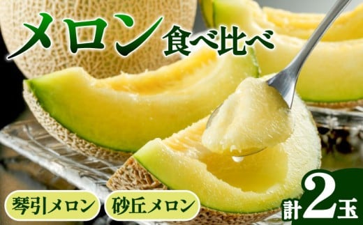 【先行予約】2026年度産 京丹後市産メロン 食べ比べセット「琴引メロン」「砂丘メロン」(配送期間 2026年7月上旬～8月上旬)  果物 フルーツ 高級 旬の果物 ２玉 期間限定 季節 果物 京都