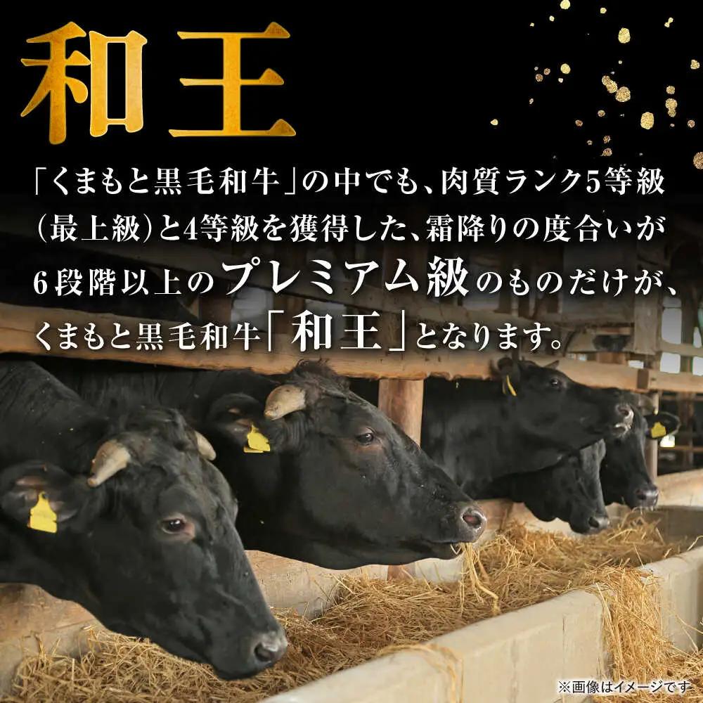 くまもと 黒毛和牛 和王 サイコロステーキ 約1000g（約500g×2P）サイコロステーキ[AYBR035]