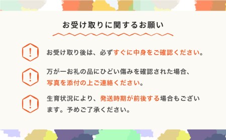 先行予約 大玉 尾花沢すいか 2L×2玉入り 令和6年産 2024年産 ja-suoox ※沖縄・離島への配送不可