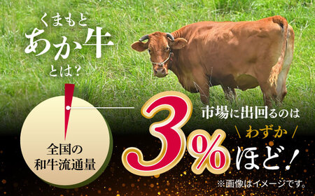 GI認証 くまもとあか牛 ロースステーキ 500g【有限会社 桜屋】[YBW114]