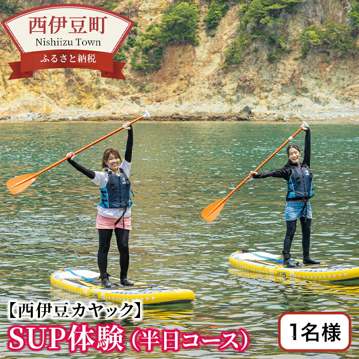 【ふるさと納税】SUP体験 半日コース 1名 黄金崎公園 中学生以上 5月～10月 講習料 用具一式レンタル シャワー施設利用料込み サップ 海 マリンスポーツ アウトドア 体験 アクティビティ 静岡県 西伊豆町