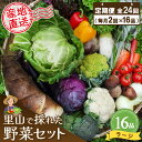 【ふるさと納税】年間定期便24回 里山で採れた野菜セットラージ 16品 【有機野菜 おまかせ野菜セット イタリア野菜 西洋野菜 定期便】(H078111)