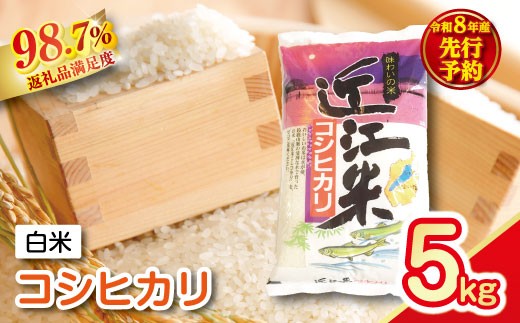 【新米　先行予約】令和8年産近江米こしひかり【5kg×1袋】【T037W】