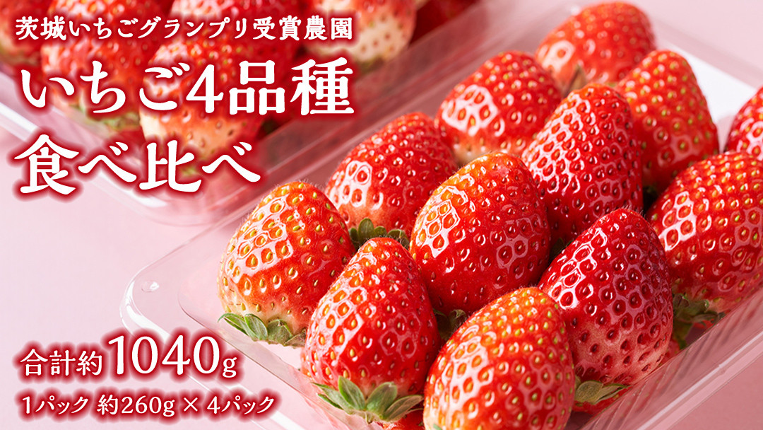 
【 茨城いちごグランプリ 受賞 農園 】 完熟 いちご 4品種 食べ比べ セット イチゴ 苺 フルーツ 果物 果実 いばらキッス ひたち姫 とちおとめ やよいひめ よつぼし すず はるひ かおり野 ほしうらら [DY001ci]
