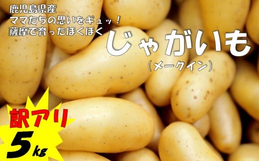 
            ZS-646【訳アリでお得！】ママたちの思いをギュッ！薩摩で育ったほくほくじゃがいも5㎏（メークイン） 期間限定
          