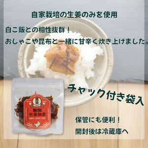 【ふるさと納税】＜佃煮1袋・シロップ2個＞農家の嫁の生姜佃煮1袋70g ジンジャーシロップ200ml クラフトジンジャー 希釈 ごはんのお供（B） ginger 農奥 高知 詰め合わせ【常温】らんまん