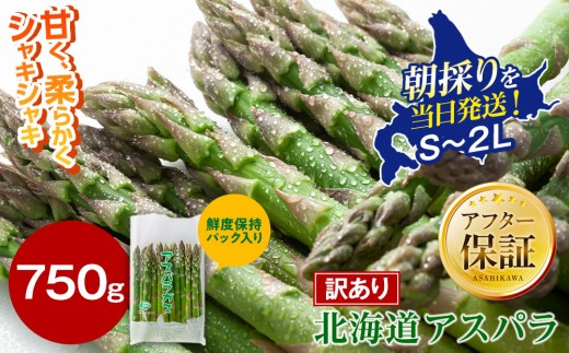 【2027年先行予約】【訳あり】露地物朝採りアスパラ 750g×1 　鮮度保持フィルム入り（5月中旬発送開始予定）【 アスパラ アスパラガス 朝採り とれたて 野菜 旬 小分け 保存 産直 産地直送 お取り寄せ 旭川市 北海道 】_04751