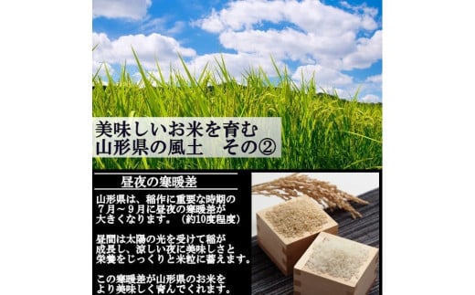 【令和6年産予約】特別栽培米　つや姫　玄米　20kg(10kg×2)