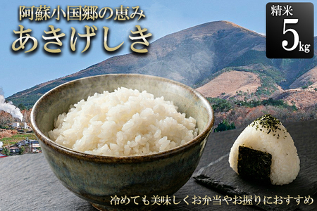 【JA阿蘇小国郷】令和7年産 阿蘇小国郷のお米「あきげしき」5kg 一等米限定 人気観光地でも提供 冷めても美味しい 高品質 おにぎり お弁当におすすめ 名水が育むお米 熊本県 阿蘇 小国町ふるさと納