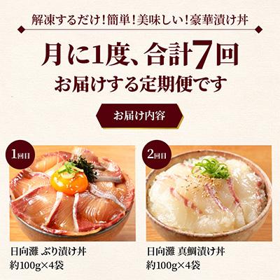 ふるさと納税 延岡市 【毎月定期便】【ふるさと納税】日向灘 海鮮漬け丼 バラエティ全7回 |  | 01