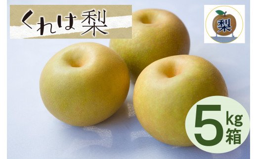 
【先行受付】くれは梨　5kg箱
