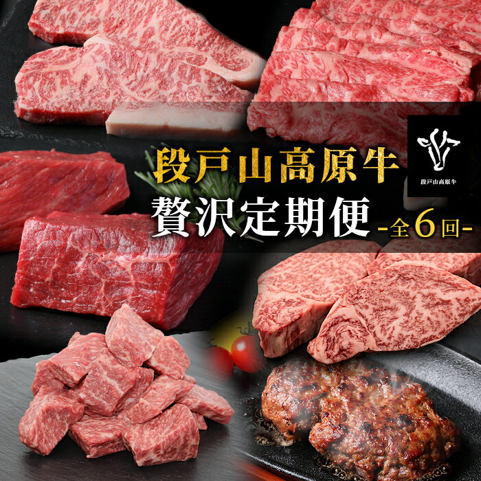 【ふるさと納税】 定期便限定部位が入った！全6回 段戸山高原牛 贅沢定期便 ロース サーロイン サーロインステーキ ハンバーグ すき焼き しゃぶしゃぶ サイコロステーキ ランプ モモ モモブロック 塊肉 ヒレ 希少部位 -331