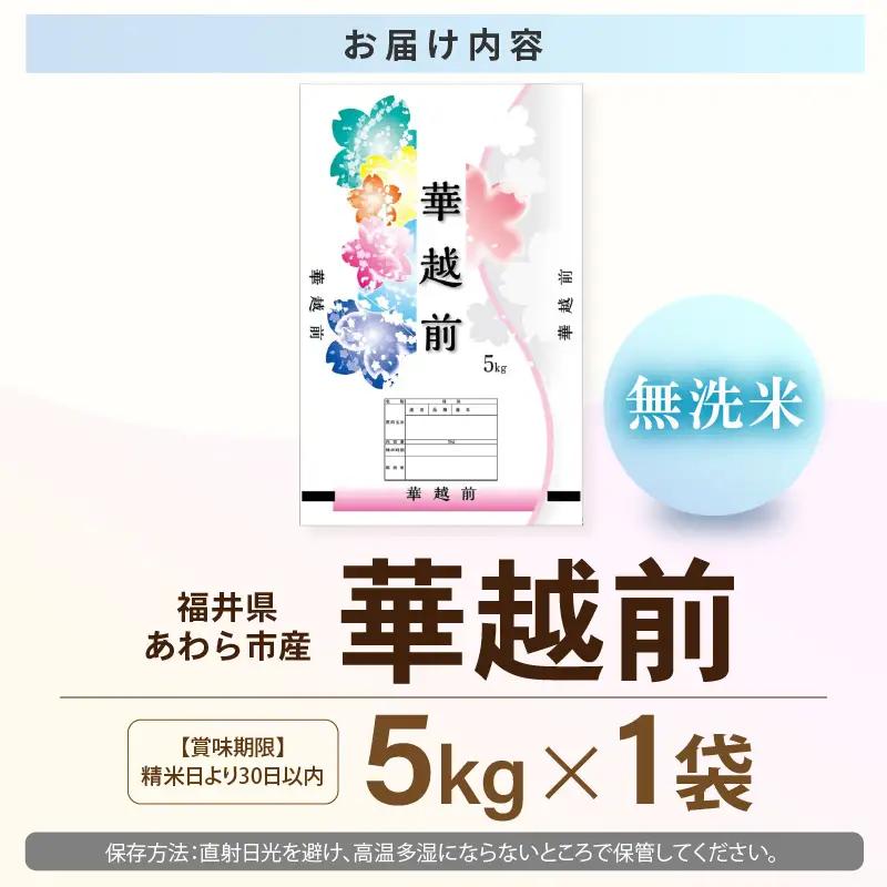 【先行予約】【令和8年産】【10月上旬以降発送】 華越前 無洗米 5kg / 米 5キロ ハナエチゼン はなえちぜん 北陸 福井県産 あわら市 ブランド米 白米 お米 コメ こめ kome ※2026