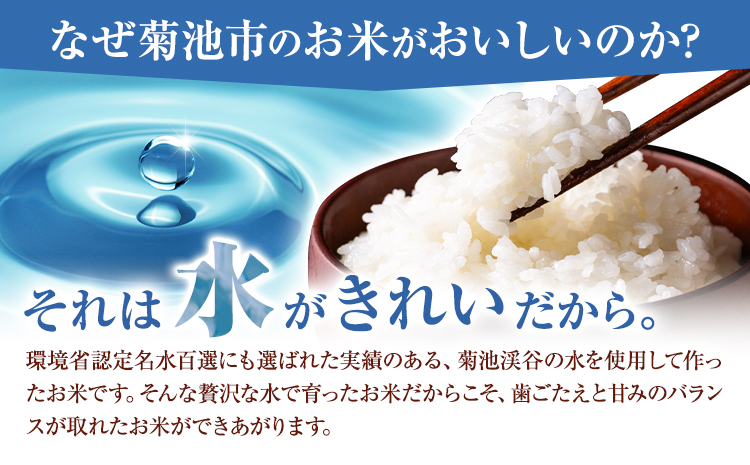 令和7年産 きくち棚田無洗米 10kg ひのひかり《30日以内に出荷予定(土日祝除く)》熊本県 菊池市 米 こめ ヒノヒカリ お米 ブランド米 単一原料米 菊池