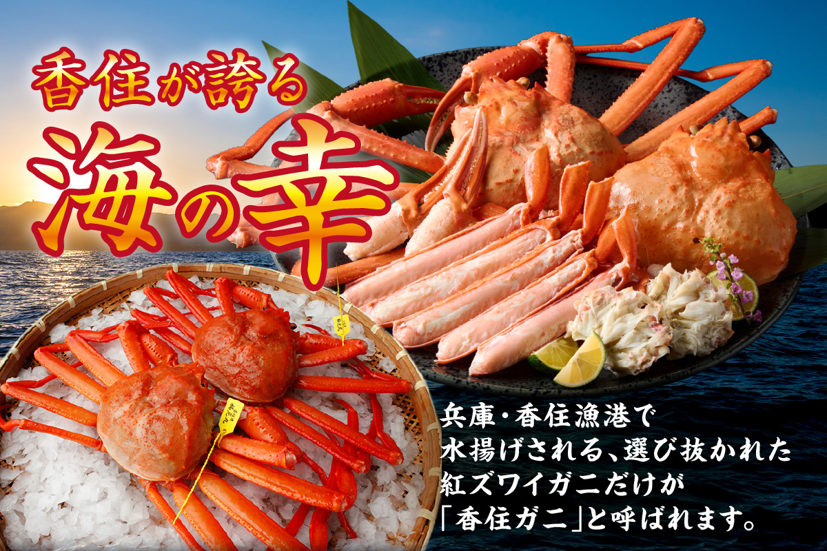 訳あり 香住ガニ 釜茹で 大きめ 約600g×3匹（約1.8kg以上）冷蔵 【令和8年9月中旬以降発送予定】 かに カニ 香美町 07-14
