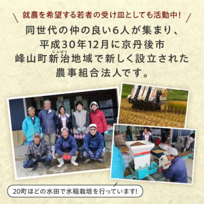 ふるさと納税 京丹後市 【農家直送】令和8年産 特別栽培米コシヒカリ 蔵人(くらんど) 玄米5kg |  | 03