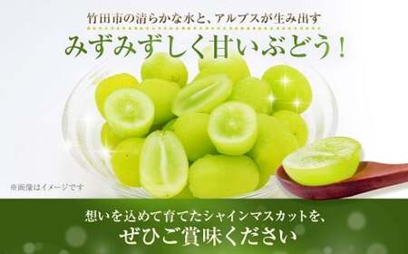 九州アルプスで育ち竹田市名水で実を付けた シャインマスカット 2房  （ 約300 ～ 約450g × 2房 ）【2026年9月上旬～10月上旬まで順次発送予定】