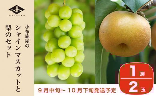 シャインマスカット1房と梨2玉 詰め合わせ ［小布施屋］果物 詰合せ セット フルーツ ぶどう なし シャインマスカット 先行予約 期間限定 冷蔵便 クール便 数量限定 長野県産 信州産 令和8年産 【2026年9月中旬頃～10月下旬頃まで順次発送】