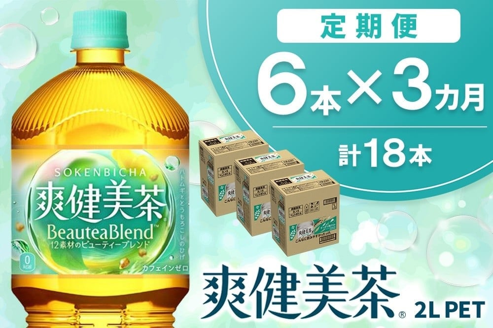 
            【3か月定期便】爽健美茶 2L×6本(1ケース)【コカコーラ カフェインゼロ 香ばしい おいしい ブレンド茶 お茶 ハトムギ 玄米 大麦 ドクダミ ハブ茶 チコリー 麦芽 植物素材 飲料 ペットボトル】K090532
          