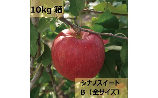 
                  【家庭用】信州松本のりんご 家庭用「シナノスイート」約10kg（20～40玉）|  ふるさと納税 長野県 松本市 シナノスイート リンゴ りんご 林檎 信州産 果物 くだもの フルーツ
                