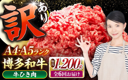 【全6回定期便】【訳あり】 博多和牛 100％ ミンチ (挽肉) 1.2kg（300g×4個） [VDZ098] ひき肉 牛肉 ハンバーグ