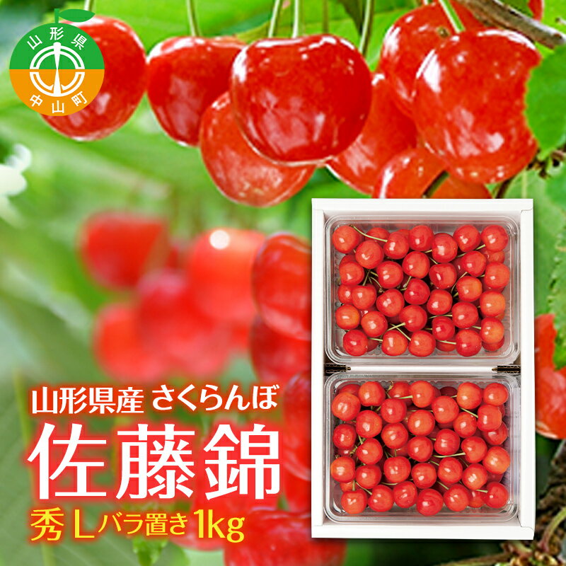 【ふるさと納税】 ≪先行予約≫2026年 山形県 中山町産 さくらんぼ 佐藤錦 秀 L バラ置き 1kg 2026年6月上旬頃より順次発送予定 露地栽培 果物 くだもの フルーツ 贈答 ギフト 数量限定 産地直送 農家直送 F4A-0397