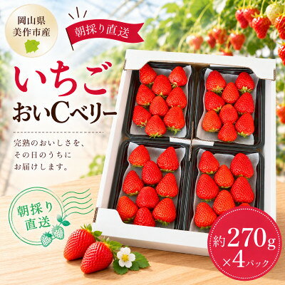 【ふるさと納税】【2027年1月発送開始】岡山県美作市産　おいCベリー(約270g×4パック)_ いちご イチゴ 苺 おいCベリー 4パック 岡山県 甘い 完熟 ストロベリー フルーツ 果物 くだもの デザート 朝採り 産地直送 【配送不可地域：離島・北海道・沖縄県】【1464411】