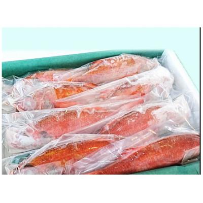 ふるさと納税 新発田市 【鮮度抜群】真空冷凍　日本海産ノドグロ 6尾セット(1尾 約200g以上) |  | 03