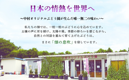 【2024年6月下旬～順次発送】中村オリジナルぶどう園のおまかせ5種ぶどうの詰め合わせ（オリジナル品種含！）※発送前のご連絡についてご注意ください