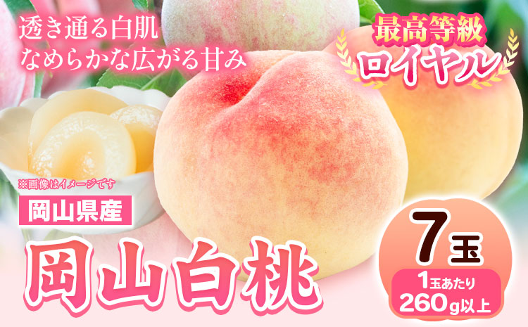 【先行予約】 岡山県産 岡山白桃 7玉 (260g以上) 【配送不可地域あり】 《7月上旬-8月末頃に出荷予定(土日祝除く)》 岡山県 矢掛町 桃 もも 白桃 果物---osy_hbf1_af7_25_29500_7---