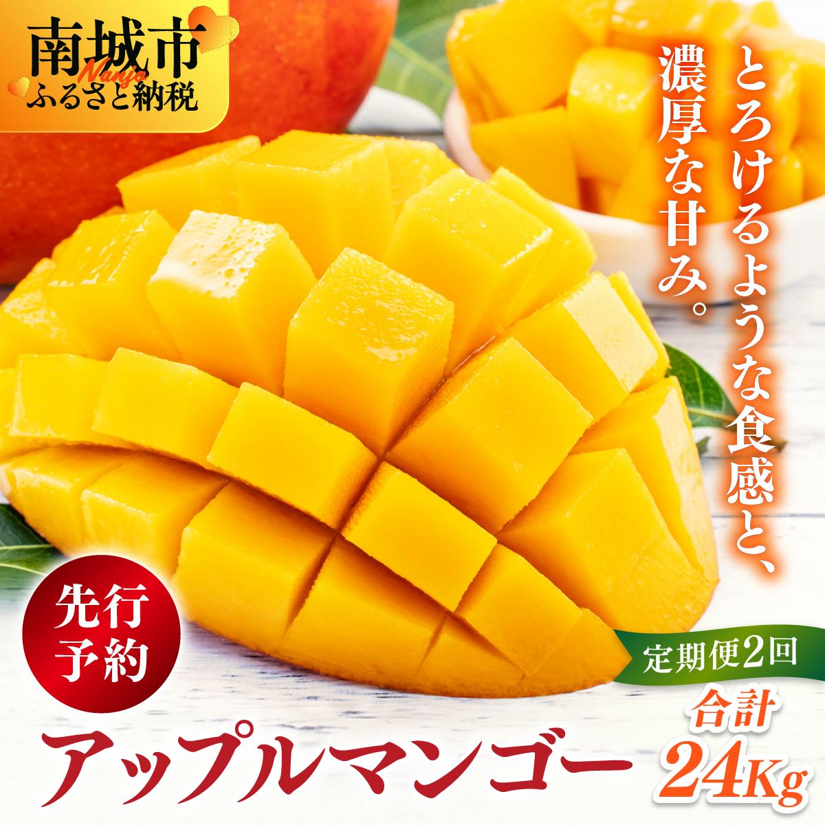 【ふるさと納税】【先行予約】アップルマンゴー24kg　2回に分けて発送