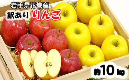 イーハトーヴ 訳あり りんご ご家庭用10kg 【958】