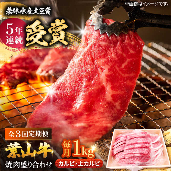 【ふるさと納税】【全3回定期便】 葉山牛 焼肉用上カルビ500g焼肉用カルビ500g / 牛肉 牛 肉 お肉 国産 赤身肉 やきにく 焼き肉 カルビ かるび 上カルビ 上かるび BBQ ブランド牛 和牛 黒毛和牛 国産牛 贈答 ギフト 【有限会社葉山旭屋牛肉店】[ASAP053]