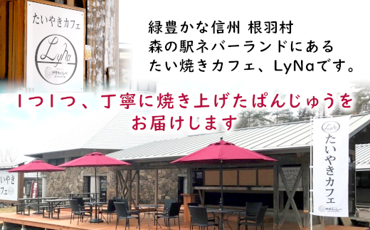 お茶菓子にぴったり！ぱんじゅう つぶあん＆信州りんごカスタード 10個 饅頭 あんこ 粒あん りんごスイーツ カスタードクリーム