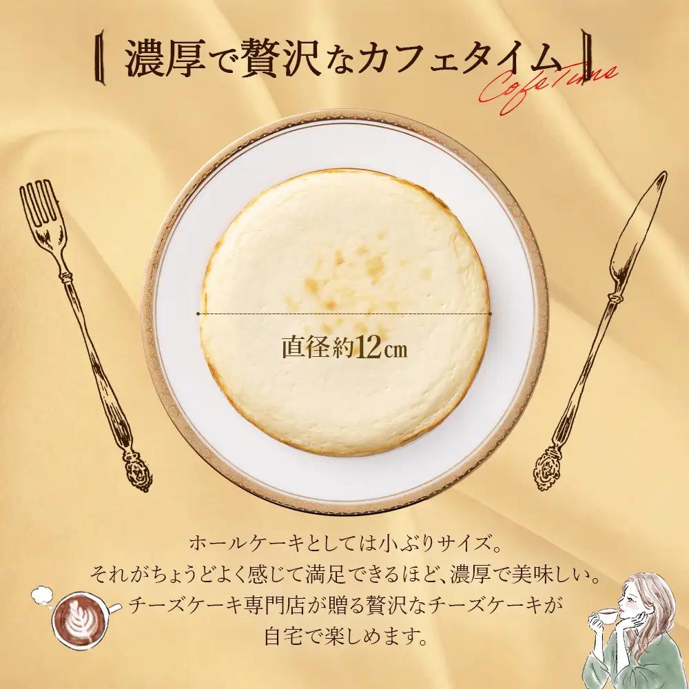 【選べる組合せ】蔵王のチーズケーキ専門店 選べるチーズケーキ＜プレーンチーズケーキ2個＞　【04301-1033-2】