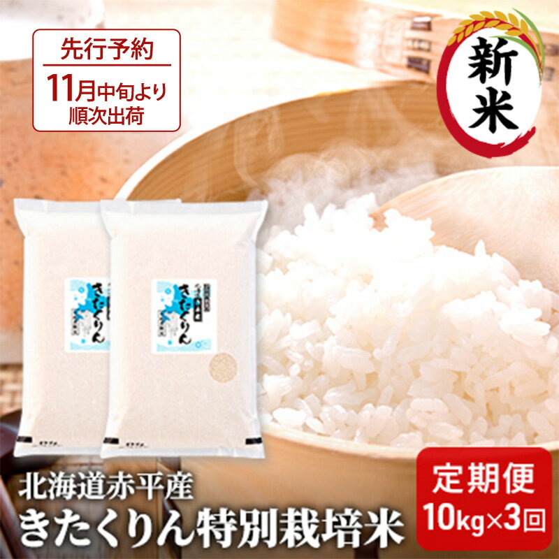 【ふるさと納税】北海道赤平産 きたくりん 10kg (5kg×2袋) 特別栽培米 【3回お届け】 精米 米 北海道 定期便 お米 　お届け：2025年11月中旬より順次出荷