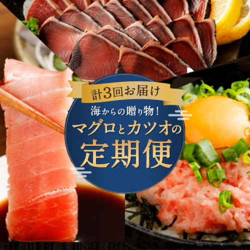 《海からの贈り物！》マグロとカツオの 定期便 【３回お届け】 高知の海鮮 魚介 まぐろ かつお 刺身 たたき