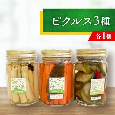 ふるさと納税 嬬恋村 ピクルス3種◆3瓶セット