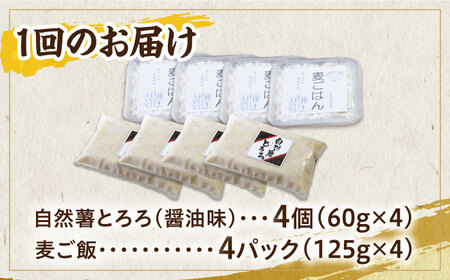 【全6回定期便】自然薯麦とろセット（4人前）＜自然薯王国＞ 那珂川市 定期便 自然薯 とろろ 野菜 健康 個包装 そば お好み焼き 白米 86000 86000円 [GAH010]