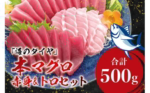 本マグロ（養殖）トロ＆赤身セット 500g 【5月発送】 高級 クロマグロ  中トロ 中とろ まぐろ マグロ 鮪 刺身 赤身 柵 じゃばらまぐろ 本マグロ 本鮪【nks110C-5】