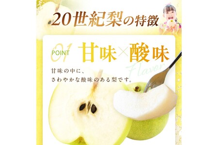 梨／訳あり【先行予約／数量限定700】京丹後　20世紀梨（訳あり） 5㎏（10～16玉）（2024年8月下旬～発送）二十世紀梨　梨詰め合わせ・梨セット・梨 2024年発送